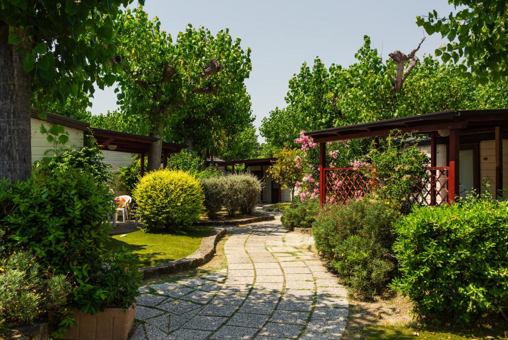 Giardino con vialetto e bungalow circondati da alberi e cespugli.