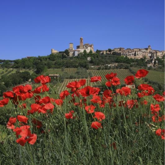 vacanzespinnaker en attractions-in-the-marche 020