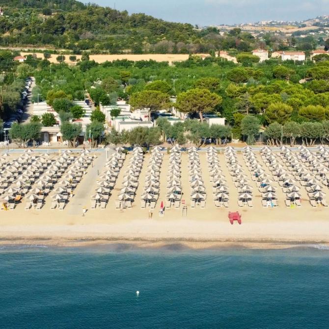 Strand mit geordneten Sonnenschirmen und ruhigem Meer.