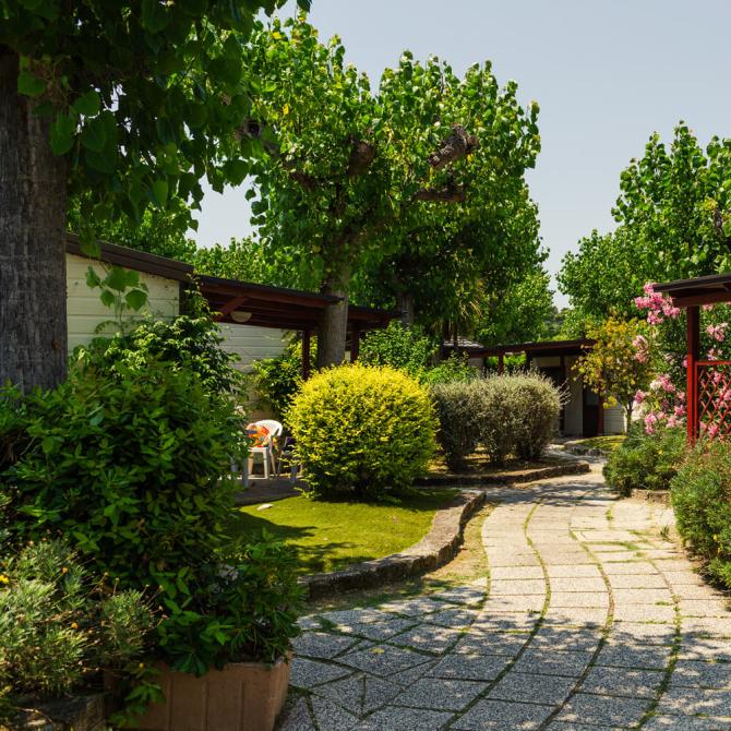Giardino con vialetto e bungalow circondati da alberi e cespugli.
