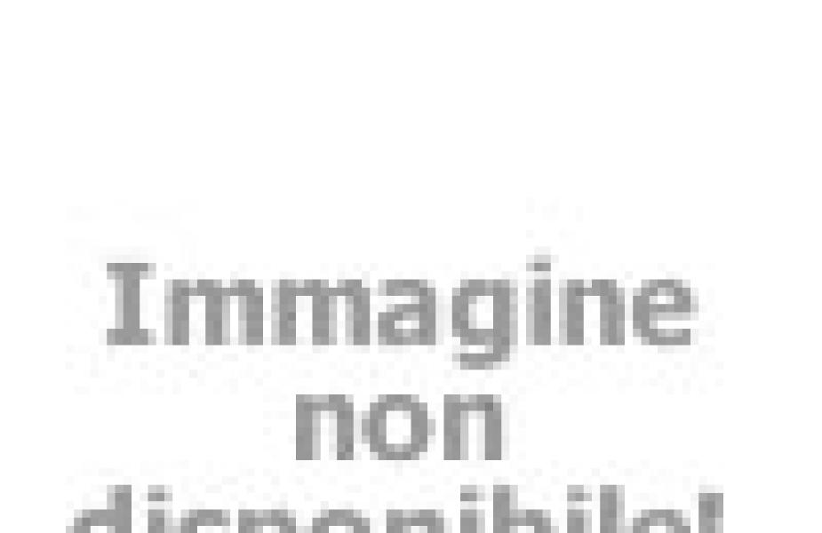 vacanzespinnaker en campsite-pet-friendly 005